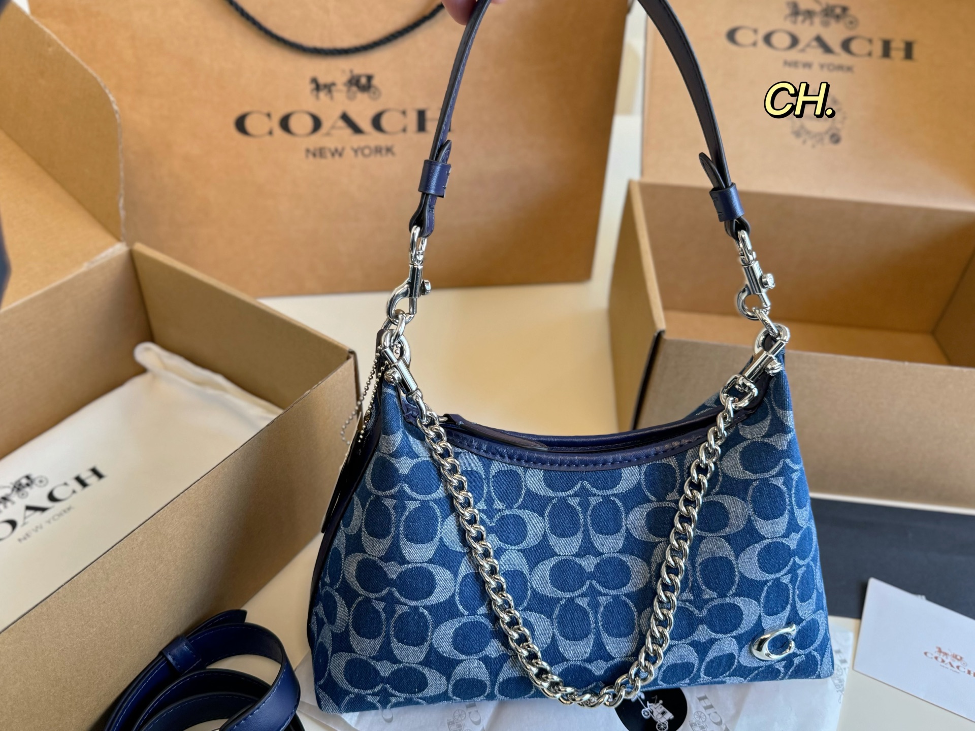 coach bag 199